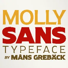 Molly Sans PERSONAL font