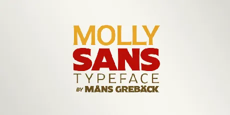 Molly Sans PERSONAL font