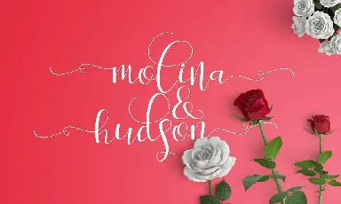 Salita Script font