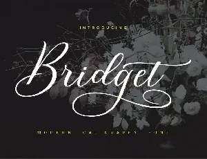 Bridget Script font