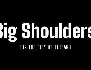 Big Shoulders Family font