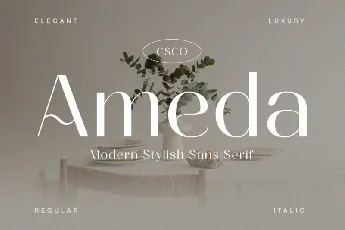 Ameda font