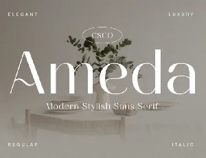 Ameda font