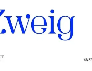 SK Zweig Serif font