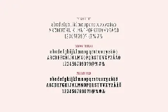 Farsan Slab Serif font