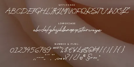 Lewis Hamilton font