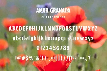 Amor Granada font