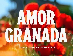 Amor Granada font