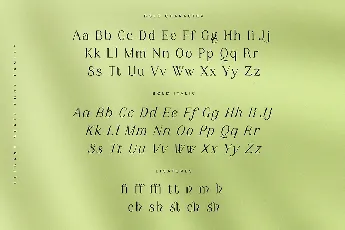 Mayfest font