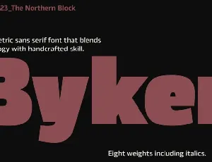 Byker V.2.0 Family font