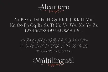 Alcantera Duo font