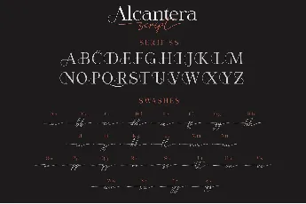 Alcantera Duo font