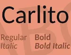 Carlito Sans Family font