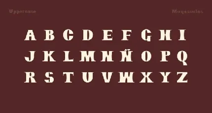 Rook font