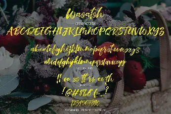 Wasatsh Brush font