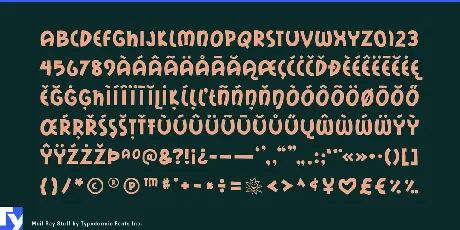 Mail Ray Stuff font