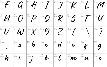 Fortune font