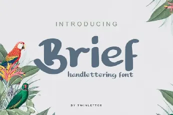 Brief Script font