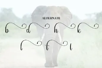 Elephant Calligraphy font