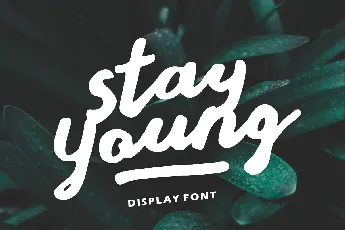 Stay Young Display font