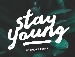 Stay Young Display font