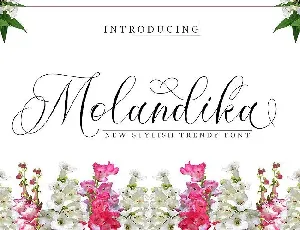 Molandika Calligraphy font