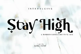 Stay High Sans Serif font