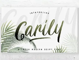 Carily Script font