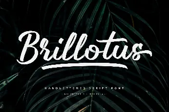 Brillotus Handlettering Script font