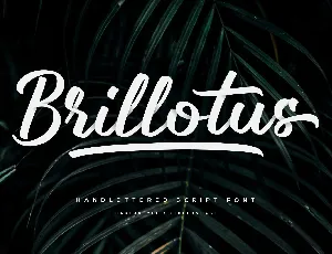 Brillotus Handlettering Script font