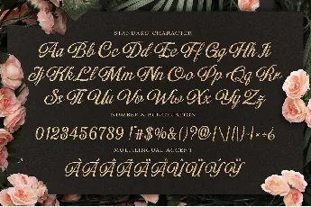 Numberline Ordinary font