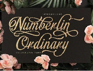 Numberline Ordinary font