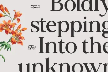 TBJ Siromi lite font