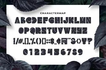 Tropical Foreste font