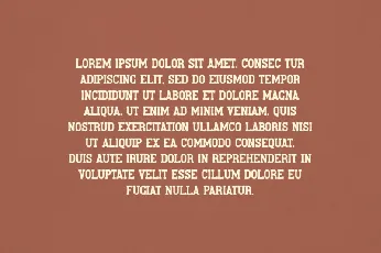 Willa font