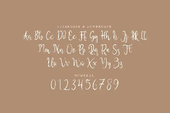 Estakn font