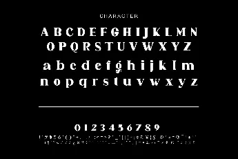 Unida font