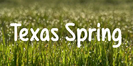 Texas Spring font