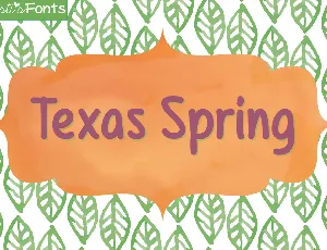 Texas Spring font