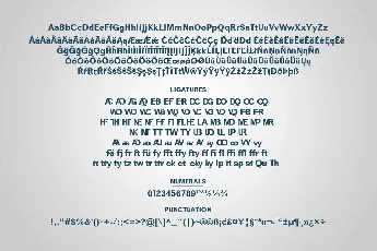 Ziclose font