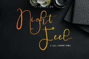 Night Feel Demo font