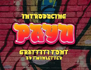 PAYU font