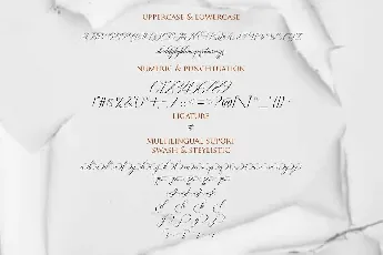 Avalon Chaligraphy font