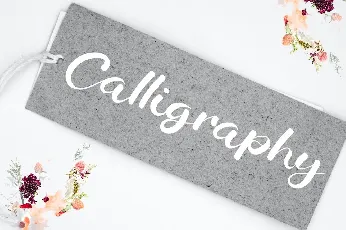 Calligraphy Script Typeface font