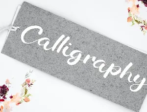 Calligraphy Script Typeface font