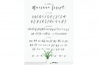 Murano Script font