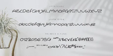 Masio font