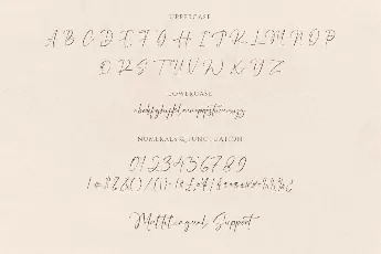 Maestro Briliant font