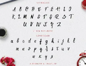 ROWO Brush Free font