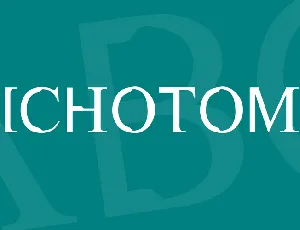 Dichotomy font